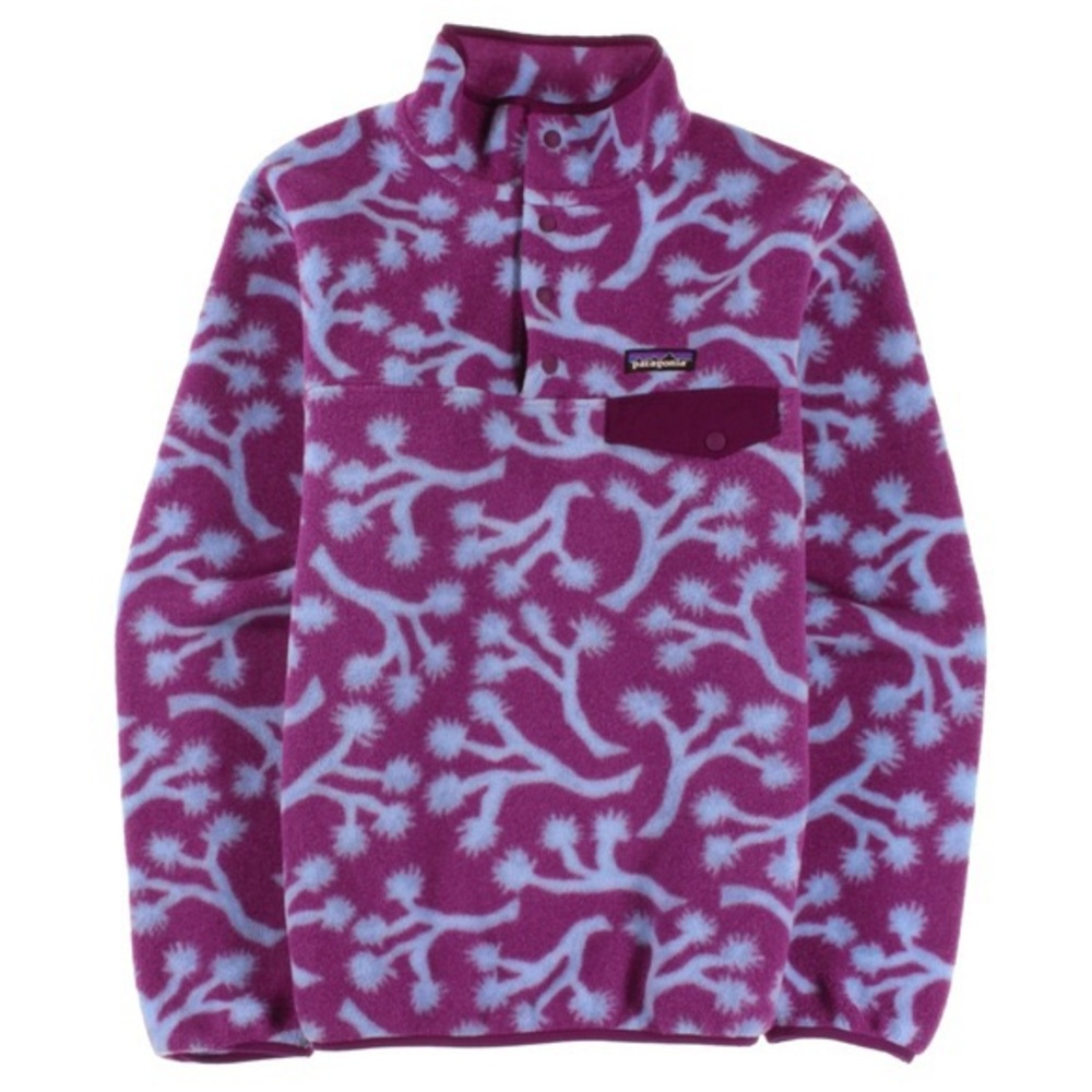 Patagonia Synchilla Pullover Sweater